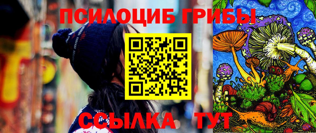 Ярославль  Псилоцибиновые грибы GOLDEN TEACHER  Вход с VPN  Псилоцибиновые грибы MAGIC MUSHROOMS 