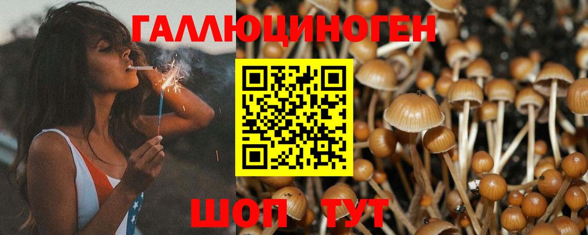 Псилоцибиновые грибы прущие грибы Ярославль